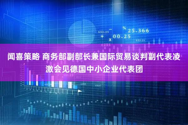 闻喜策略 商务部副部长兼国际贸易谈判副代表凌激会见德国中小企业代表团